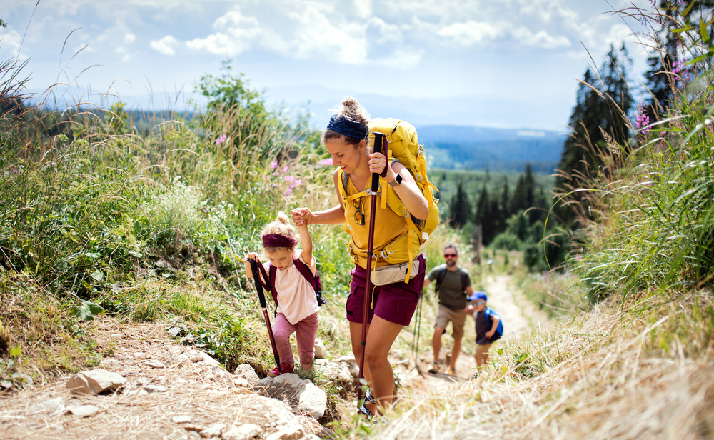 Top Family Travel Packages Starting from $ 895